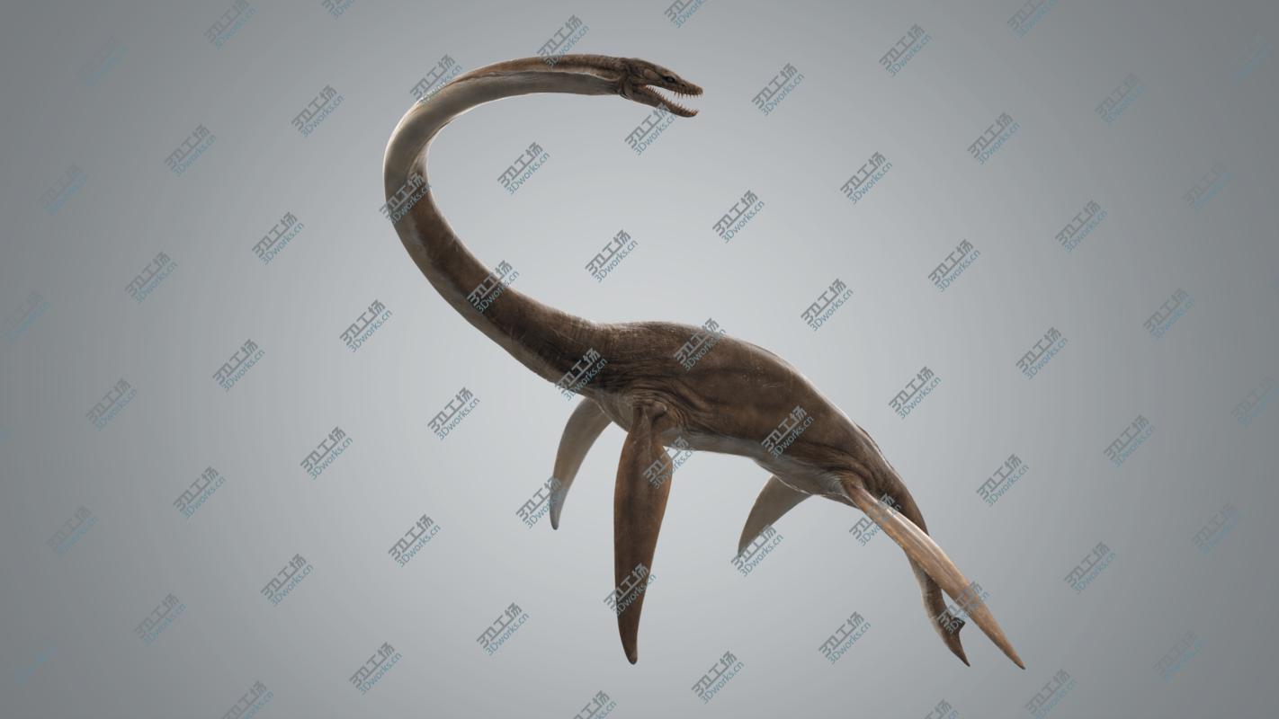 images/goods_img/202104021/3D Plesiosaur Rigged/3.jpg